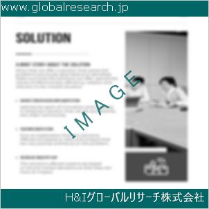 グローバルリサーチ調査資料のイメージ